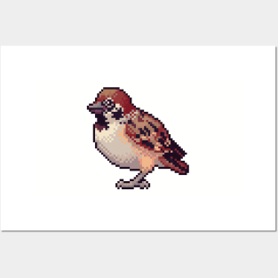 Pixel Sparrow Posters and Art